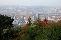 Parco Europa Autunno_089
